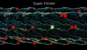 screen_shot_2015-10-15_at_2.30.50_pm