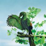 Tarih öncesi kuşlar uçmayı ağaçtan düşerek mi öğrendi?