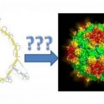 popsci-stmv