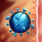 Virüsler ve Bağışıklık Sistemi