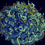 Yeni Geliştirilen Enzim HIV’e Karşı Olan En Güçlü Silahımız Olacak!