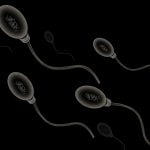 Kök Hücrelerden Sperm Üretmek Mümkün Olabilir!
