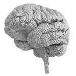 Başarılı İnsanların Beyni Farklı Yapıya Sahip Olabilir!