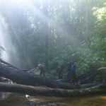 Yapay Zeka Doğayı Bizlerden Koruyacak!