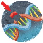 İnsanlarda CRISPR Kullanımına Çok Yakınız!