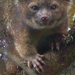 En Sevimli Keşfin 3. Yıl Dönümü Kutlanıyor!