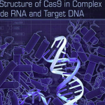 Birileri Az Önce İlk Defa Crispr İle Genetiği Değiştirilmiş Öğününü Yedi