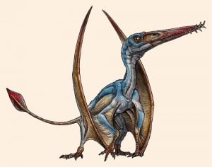 Allkauren koi Allkauren koi (“antik beyin” günümüzde kullanılmayan yerli Tehuelche dilinde) keşfedildiğinde, kafatasını olağanüstü bir şekilde korunmuş olarak bulan paleontolog, Pterosaur’un beyin yapısı ve hayranlık yaratan tuhaf dişlerine göz atabilme fırsatı sunuyor. 