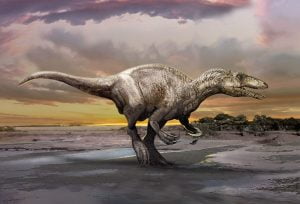 Murusraptor barrosaensis Paleontologlar tarafından keşfedilen bu tür, Murusraptor barrosaensis, (“Sierra Barrosa Duvar Hırsızı”), 26 feetten uzun ve hala yavru, ancak bu hali bile yakın bir tür olan velociraptorden çok daha büyük. Buna rağmen, kalçasında keşfedilen boşluk, günümüz modern kuşlarına oldukça benziyor. 