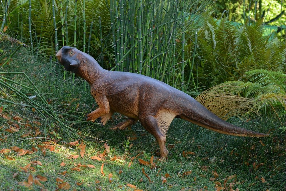 Psittacosaurus’un 3 boyutlu modeli Araştırmacılar dinozorun hangi ortama adapte olduğunu anlamak için fosilden edindikleri bilgilerle tam ölçekli bir model yaparak bu modeli farklı ortamlara yerleştirdiler.  