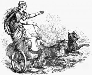 İskandinav tanrıçası Freyja arabasını kedilere çektiriyor. Vikingler muhtemelen tanrıçanın yolunu izleyerek, gemilerinde kedilerle seyahat ettiler
