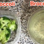 broccoli2_web