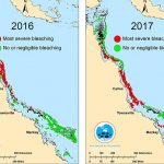 coral-bleaching-event-data