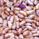 Et Yerine Fasulye Yemek Gezegeni Kurtarabilir