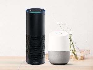 Amazon Echo Google Home
