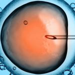 ABD’deki Bilim İnsanları İlk Defa Bir İnsan Embriyosunu Düzenlediler