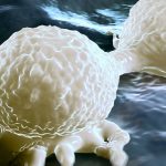 Kanserin Diğer Hücreleri Sahte Virüsler Yapmaya Nasıl Zorladığı Artık Biliniyor