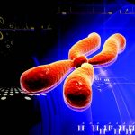 İlk Ata Genom Bilinenden İki Kat Daha Eski