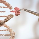 Hassas Gen Düzenleme Yöntemiyle Embriyodaki Ölümcül Kan Bozukluğu Düzeltildi