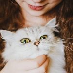 Bazı İnsanlar Hayvanları Çok Severken Diğerleri Neden Umursamıyor?