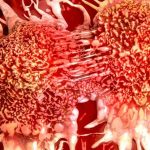 Bazı Hücreler Sadece Bir Mutasyonla Kanserojen Olabiliyor