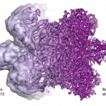 2017 Nobel Kimya Ödülü: Süper Soğuk Mikroskopi Metodu Nobel Ödülünü Kaptı
