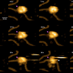 CRISPR’ın DNA’yı Düzeltişini Gerçek Zamanlı Olarak Gösteren Video Nefesleri Kesti