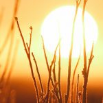 2017 Yılı Kayıtlardaki En Sıcak Yıllardan Biri ve Bu Sefer Bahanemiz Yok
