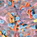 Antibiyotikler, Bağışıklık Sistemi Hücrelerinin Düzgün Şekilde Çalışmasını Önlüyor Olabilir