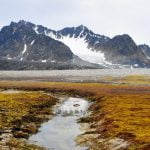 Kuzey Kutbundaki Topraklar Antik Zamandan Kalma Karbon Yayıyor Olabilir