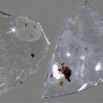 contact-lens-fragments-wastewater-sludge_700[1]