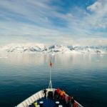 Norveçli Yolcu Gemileri, Ölmüş Balıkları Yakıt Olarak Kullanacak