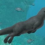 PeregocetusPacificusNewWhaleAncestor_1024[1]