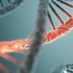 DNA ile RNA, Dünya Üzerindeki Yaşam Başlamadan Önce Beraber Var Olmuş Olabilir