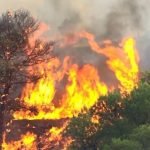 İspanya O Kadar Sıcak Ki; Ormanlar Kendiliğinden Yanıyor