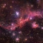 Martı Şeklindeki Bu Nebula, Bebek Yıldızların Mekanı