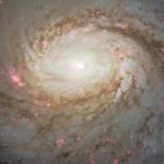 M77-galaxy_1024[1]