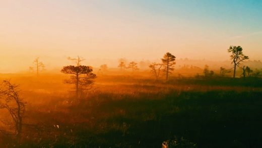 Bilim İnsanları: Gezegeni İyileştirmek İçin Köklü Bir Değişim Gerekiyor