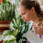 Dev İnceleme, Ev Bitkilerinin Evinizdeki Havayı Aslında ‘Temizlemediğini’ Doğruluyor