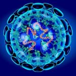Çin’deki ‘Yeni Koronavirüs’ Hakkında Şimdiye Kadar Bilinenler
