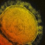 Yeni Koronavirüsün İsmi Belli Oldu: COVID-19