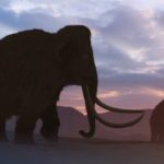 Antik Genler, Dünya Üzerindeki Son Mamutların Hastalıklarla Boğuştuğunu Gösteriyor
