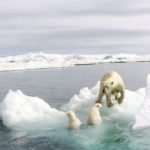 Geri Dönüşü Olmayan Noktaya Şimdiden Ulaşmış Olabiliriz