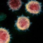 Türkiye’de koronavirüs salgınında son 24 saat