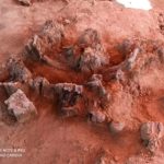 Meksika’nın Yakınında Keşfedilen Dev Mamut Mezarlığı