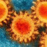 Koronavirüse Karşı Bağışıklık Kazanıp Kazanmadığımızı Nasıl ve Ne Zaman Öğreniriz? Bir Uzman Açıklıyor