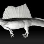 Çığır Açan Keşfe Göre Spinozor, Yüzdüğü Bilinen İlk Dinozor