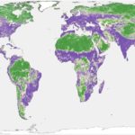 Dünya’daki Karaların Yarısı, İnsanların Verdiği Zarardan Hâlâ Kurtarılabilir