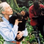 Jane Goodall: Bu Salgından Sonra Değişmezsek Yandık
