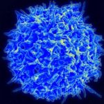 Bazı İnsanlar Koronavirüse Karşı Avantajlı Olabilir